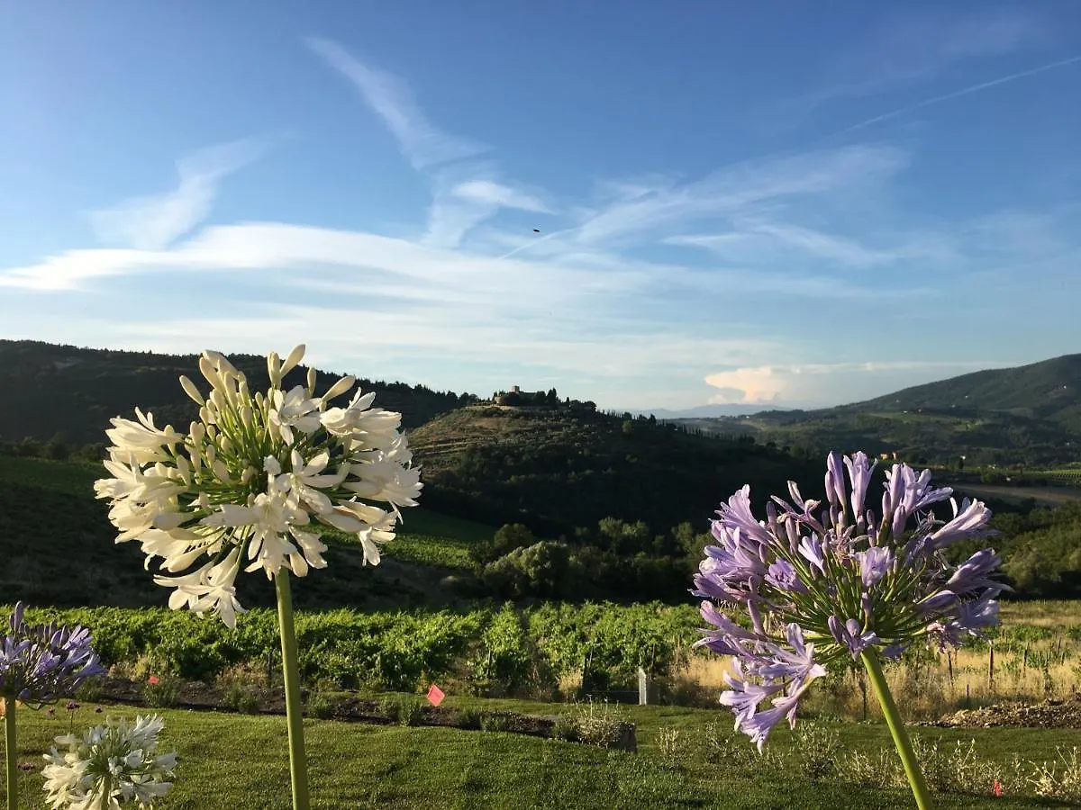 La Pietra Del Cabreo Hotel Greve in Chianti Italy
